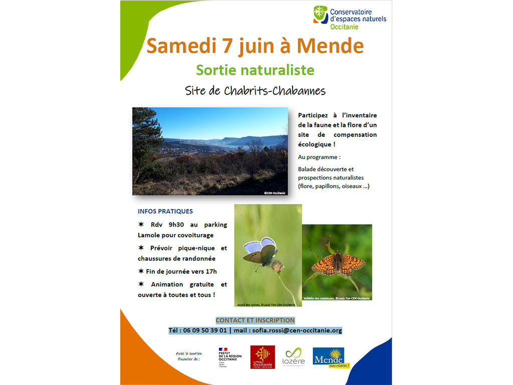 Image d'illustration de SORTIE NATURALISTE