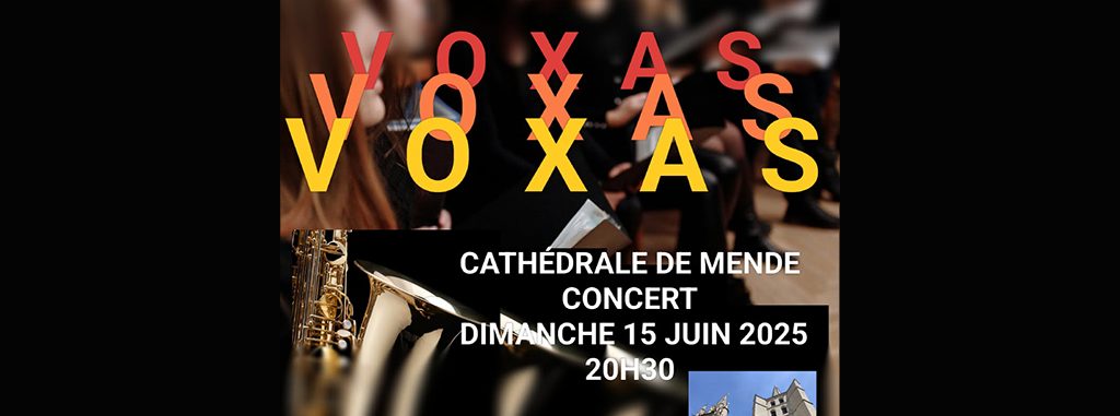 Image d'illustration de la page VOXAS