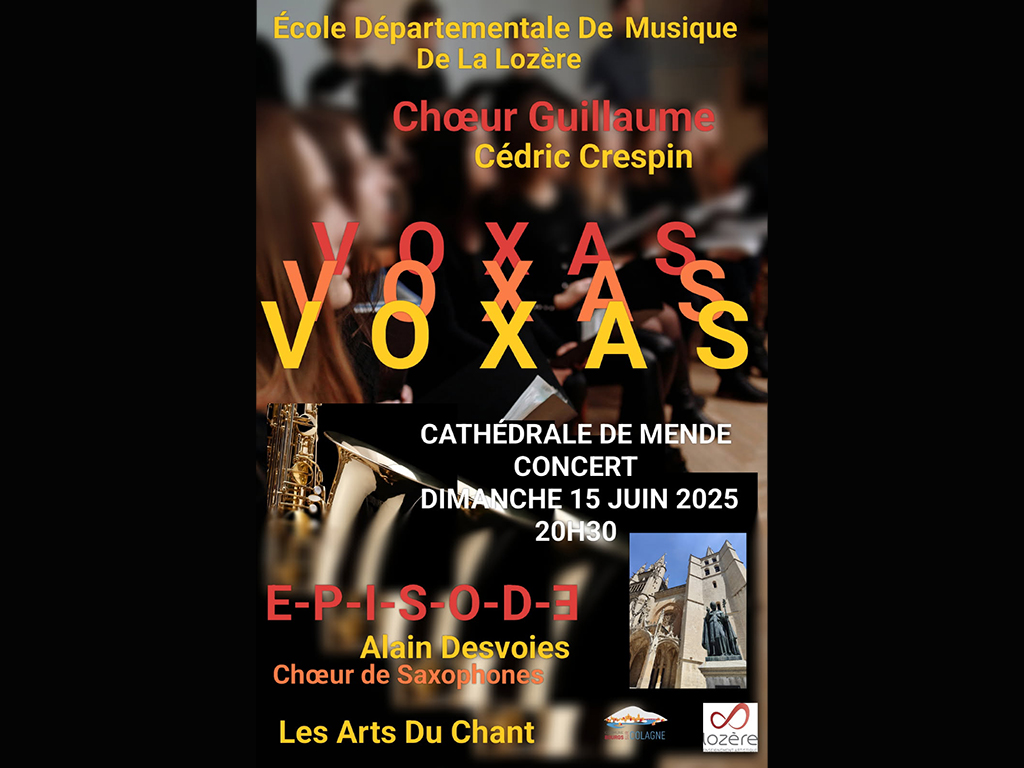 Image d'illustration de VOXAS