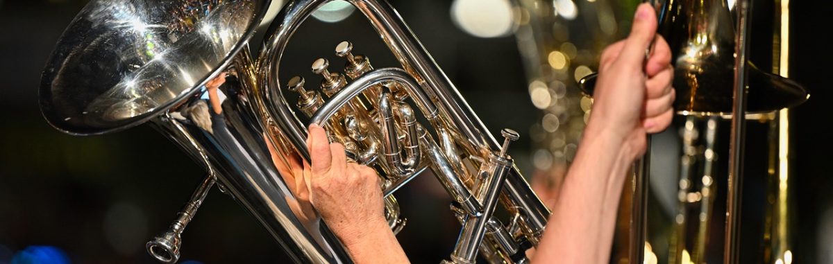 Image d'illustration de la page ANIMATIONS DE NOËL – DÉAMBULATION MUSICALE EN CENTRE-VILLE