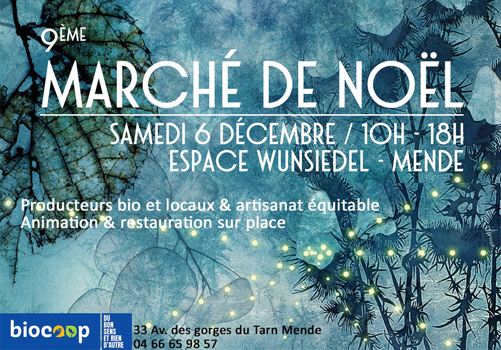 Image d'illustration de 9ÈME MARCHÉ DE NOËL BIO