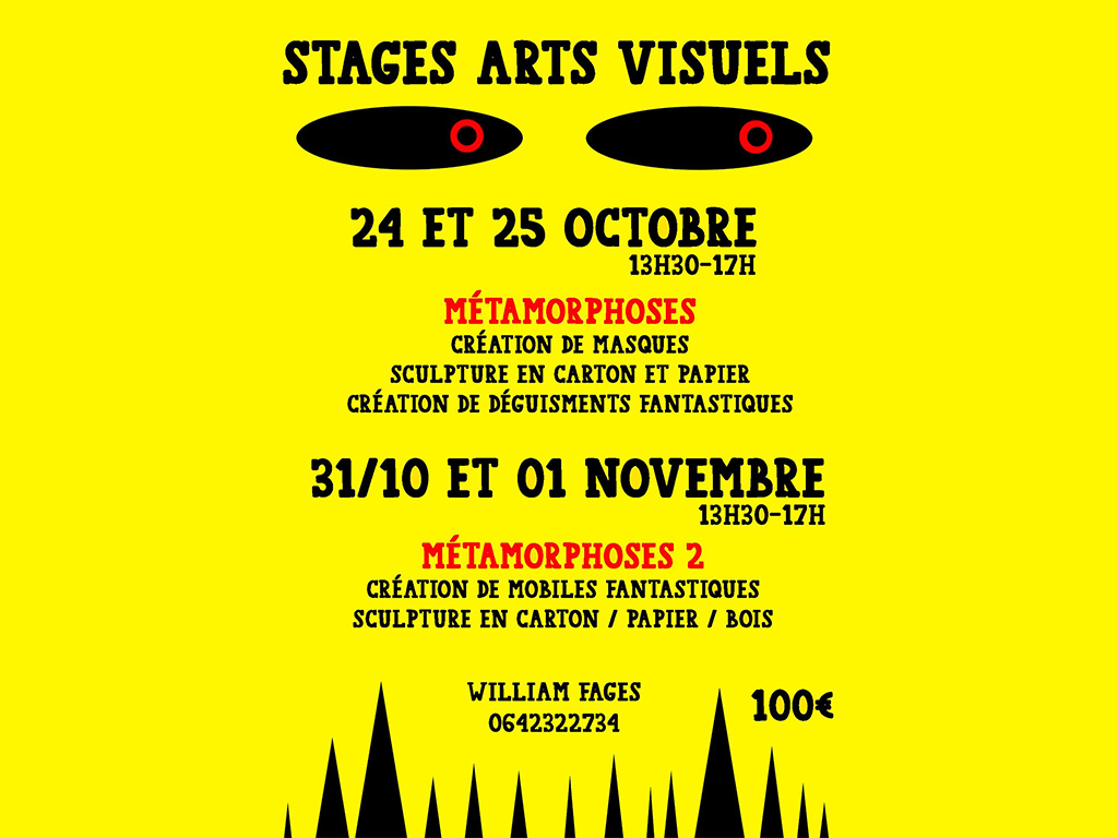 Image d'illustration de METAMORPHOSES – STAGES D’ART VISUELS