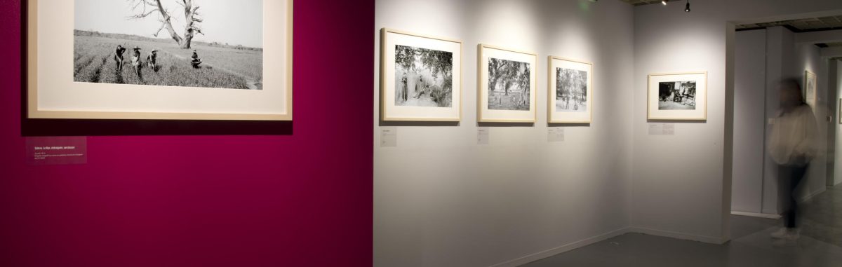 Image d'illustration de la page GAUTHIER BRUEL & ROLAND LESLUIN : « ABSTRACTION ET FIGURATION »