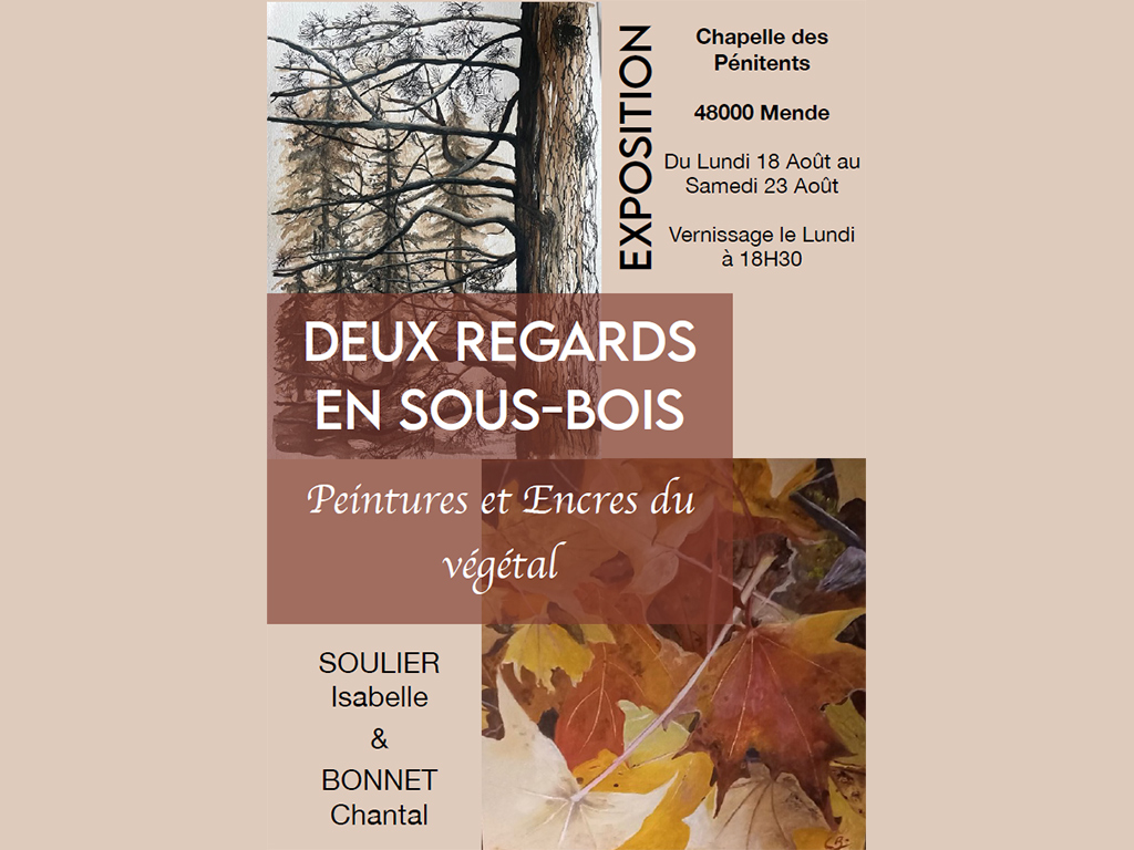 Image d'illustration de DEUX REGARDS EN SOUS-BOIS …