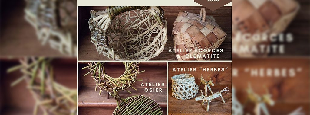 Image d'illustration de la page STAGE DE VANNERIE : VANNERIE SAUVAGE