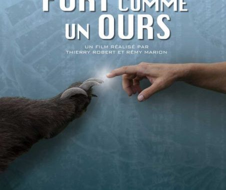 Image d'illustration de la page PROJECTION AU MUSÉE